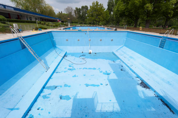 Best Residential water damage restoration  in Bath, MI