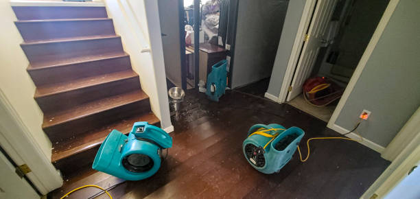 Best Professional water damage repair  in Bath, MI