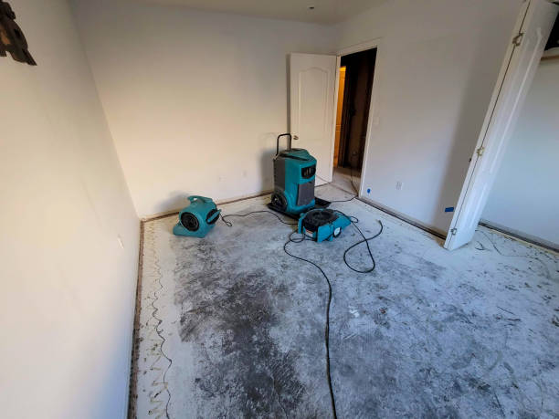 Best Commercial water damage restoration  in Bath, MI
