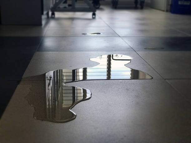 Best Water damage restoration cost  in Bath, MI