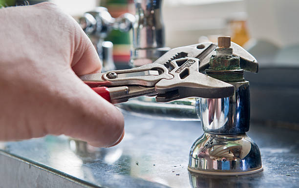 Best Water damage cleanup near me  in Bath, MI