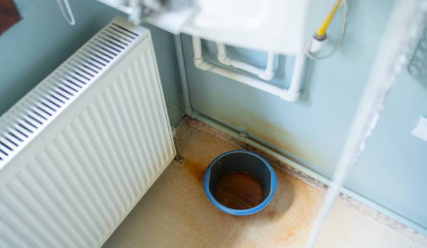  Bath, MI Water damage restoration Pros