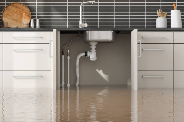 Best Flood damage cleanup  in Bath, MI