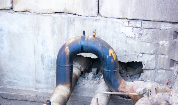Best Mold removal after water damage  in Bath, MI